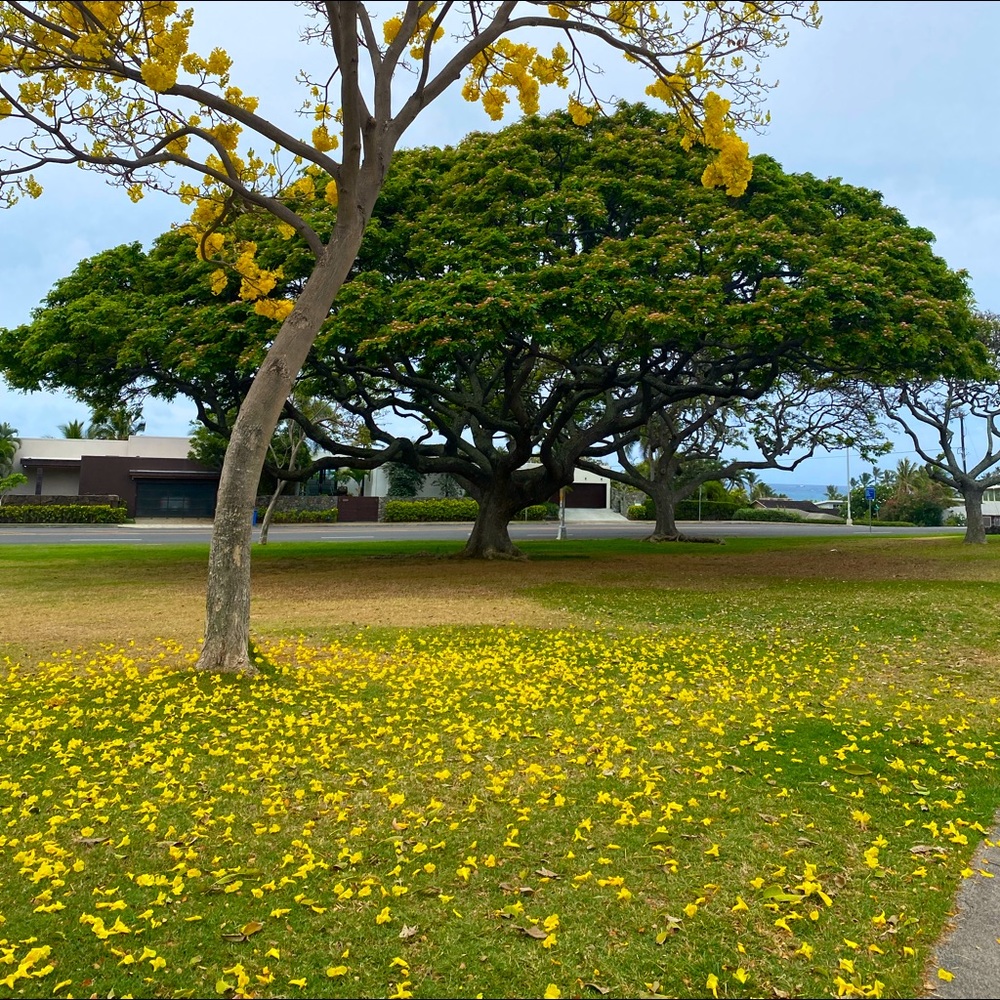 Meet your Posher, Janu